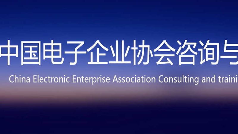 信息系统集成项目管理规范对比：标准解析与实践要点