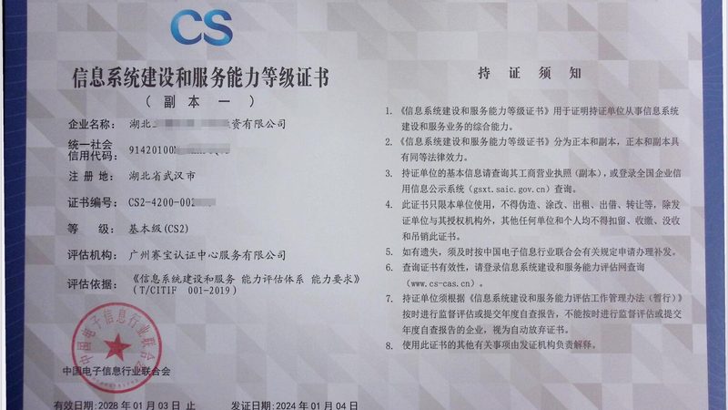 软件公司薪酬体系设计：构建高效激励的基石**