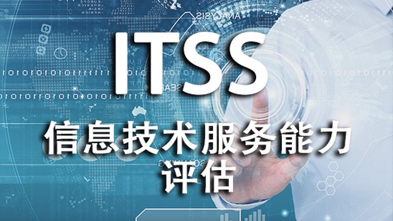 IT外包与自建团队：揭秘背后的差异与考量