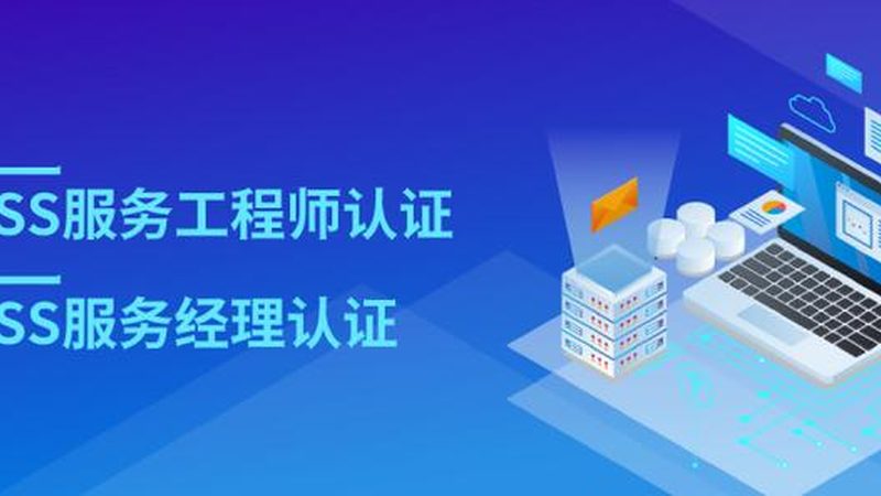 IT咨询顾问与ERP顾问：职能差异与职业定位